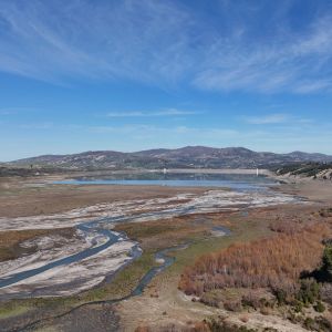 dji fly 20250131 124504 0164 photo