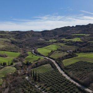 dji fly 20250131 124614 0166 photo