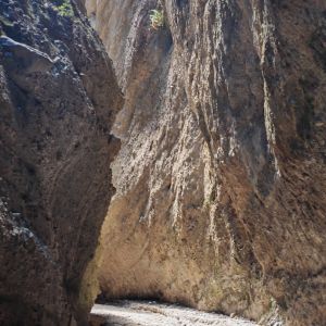 canyon valli cupe by michela valentino