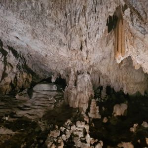papasidero grotta romito pollino
