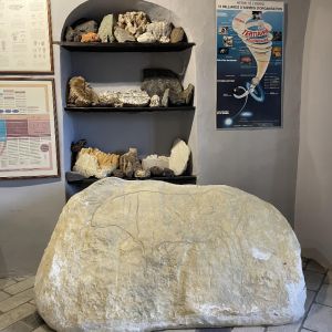 il nibbio romito