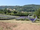 parco lavanda pollino morano